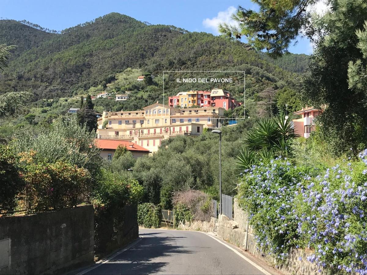 Apartament Il Nido Del Pavone Monterosso al Mare Zewnętrze zdjęcie